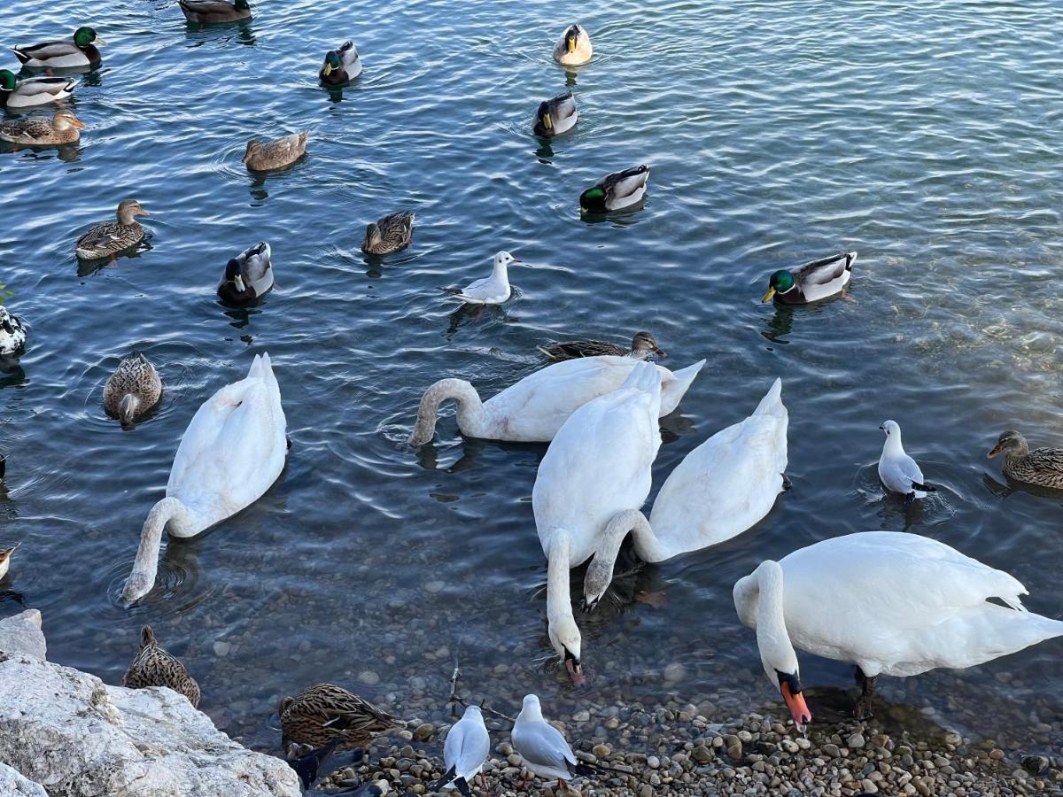 Villeneuve Loubet Plage- Entre Nice Et Cannes Exteriör bild
