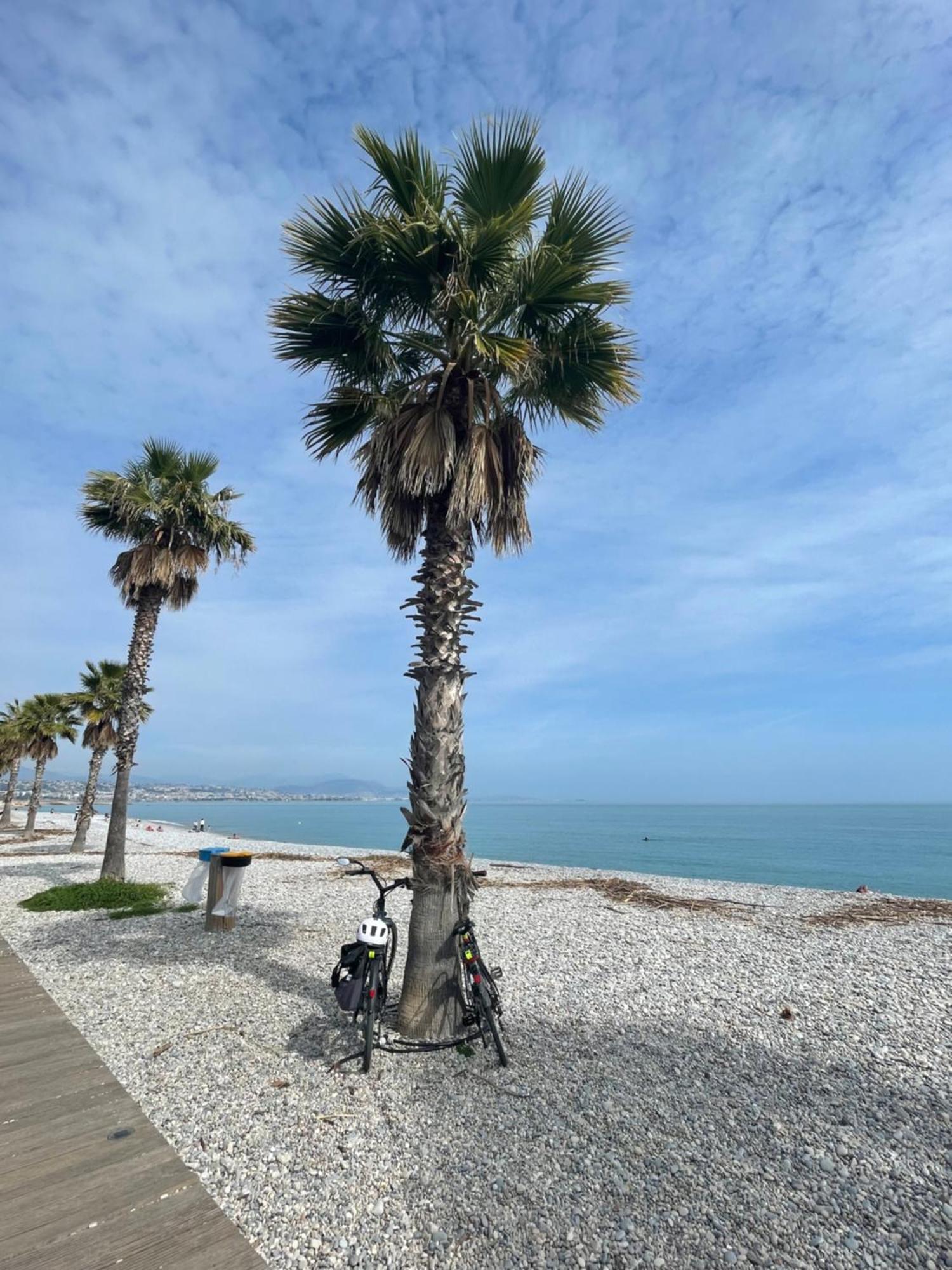 Villeneuve Loubet Plage- Entre Nice Et Cannes Exteriör bild