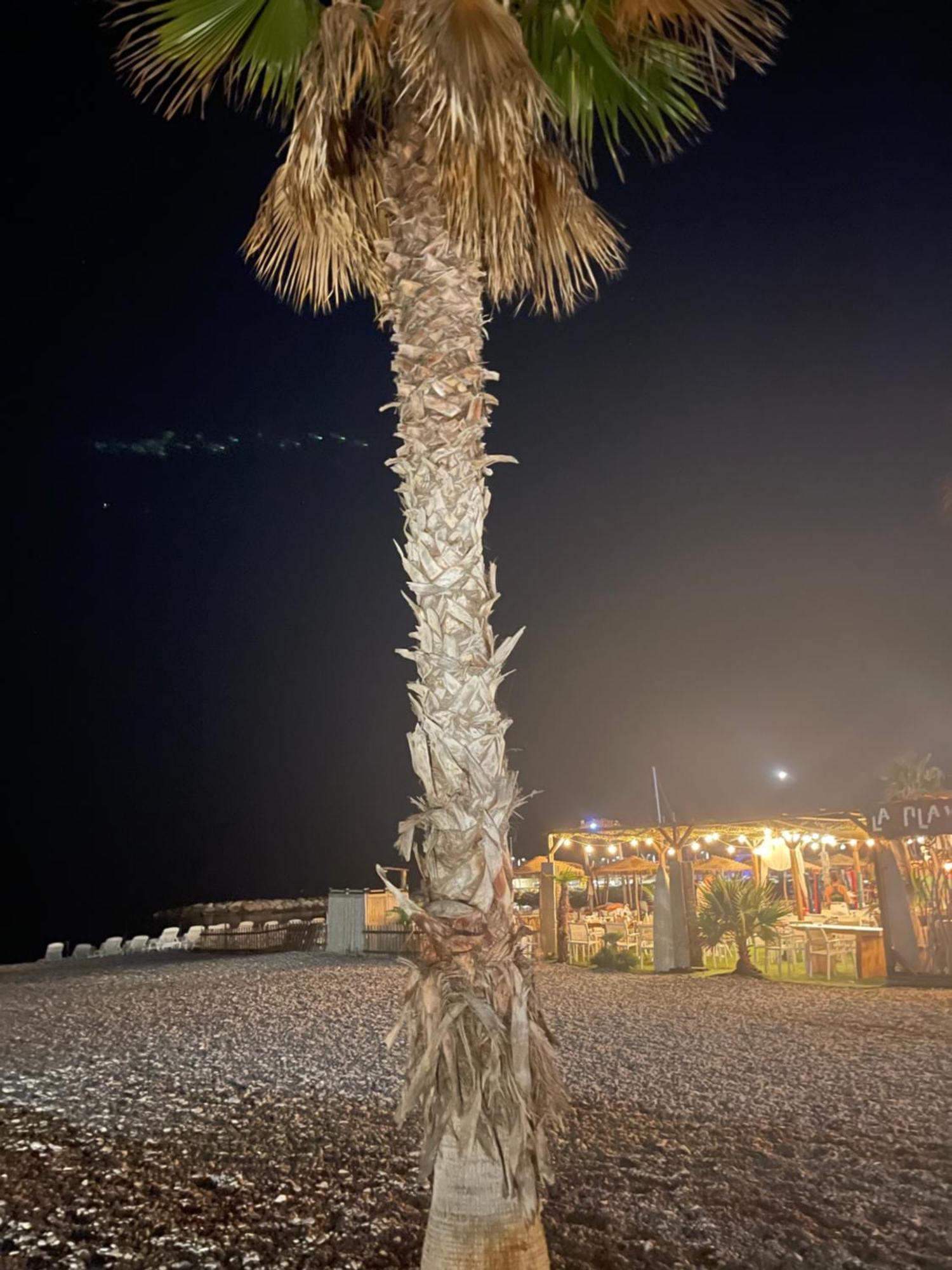 Villeneuve Loubet Plage- Entre Nice Et Cannes Exteriör bild
