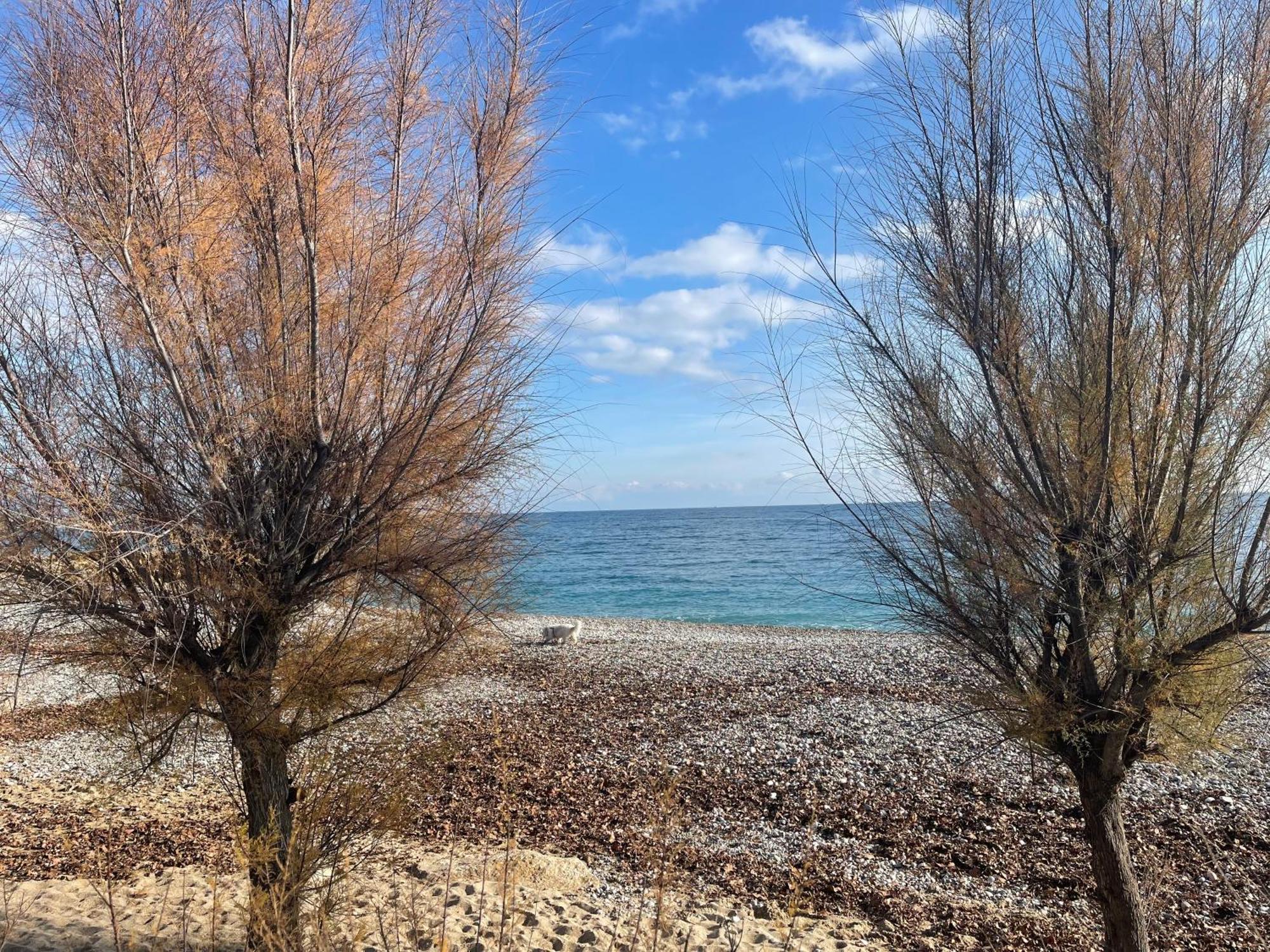 Villeneuve Loubet Plage- Entre Nice Et Cannes Exteriör bild